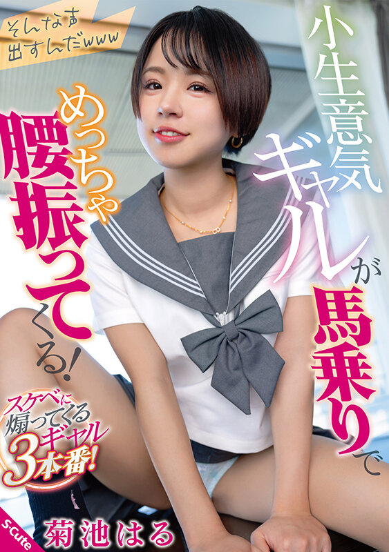 サンプル画像